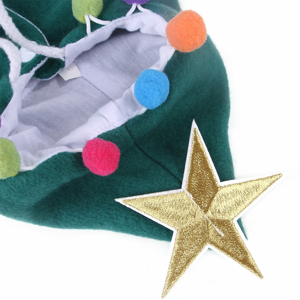 Christmas changing into funny cat clothes Cape