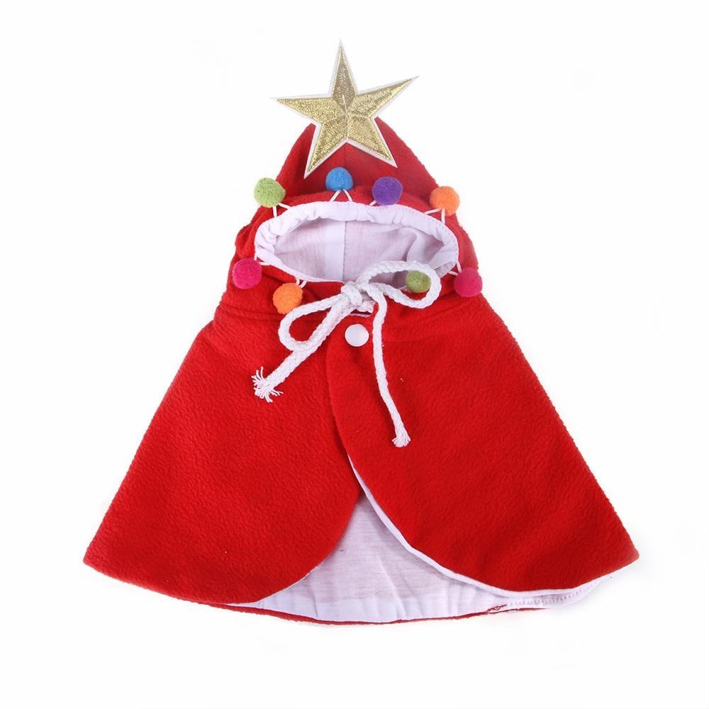 Christmas changing into funny cat clothes Cape