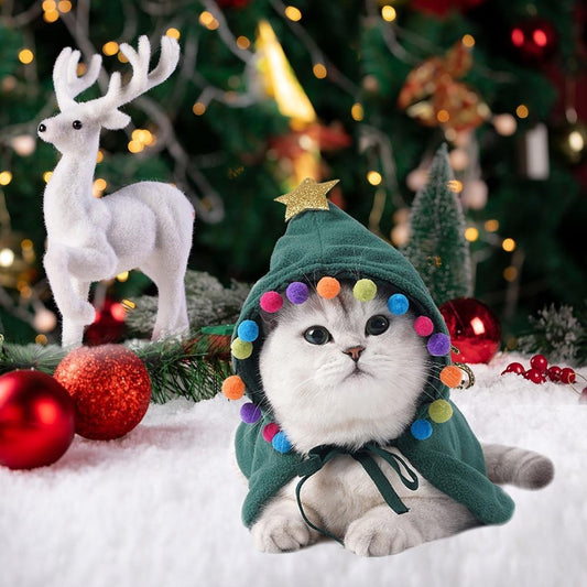 Christmas changing into funny cat clothes Cape
