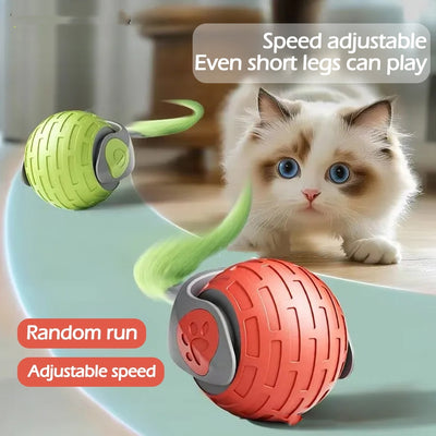 Cat Toys Ball Auto Electric Rolling Ball Toys For Cat Kitty Pets USB Rechargeable