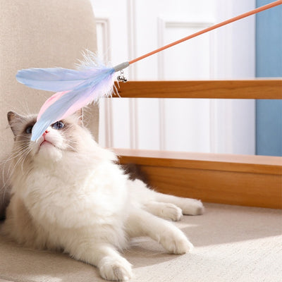 Laser feather cat toy in use, featuring a cat playing with colorful feather attachment.