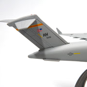 Model Simulation