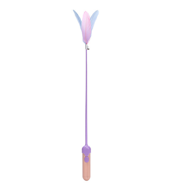 Laser feather cat toy in pastel colors featuring feathers on a stick, designed for playful cats.